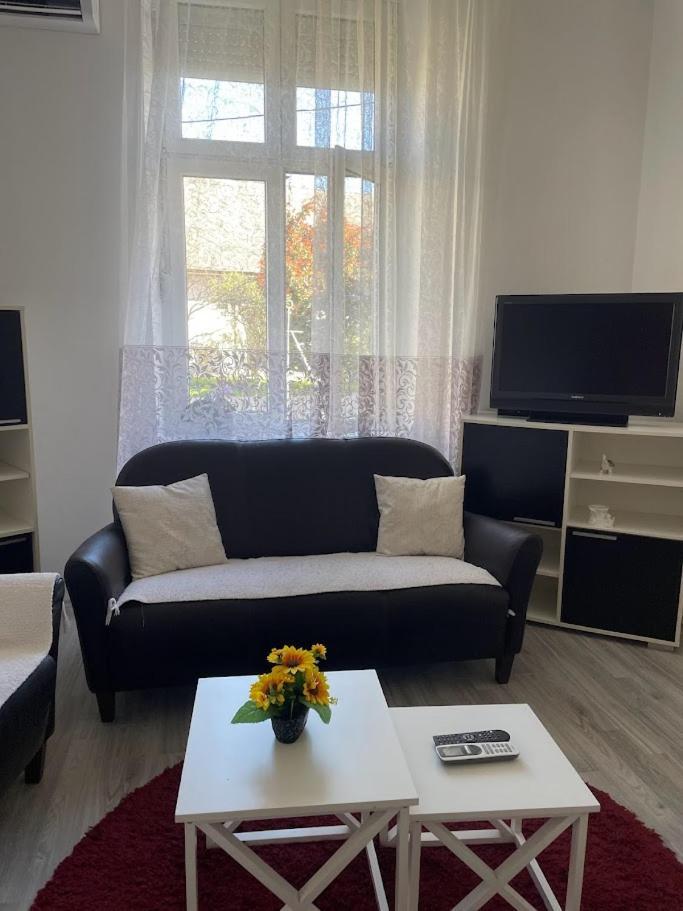 Apartment Milijana Суботица Екстериор снимка