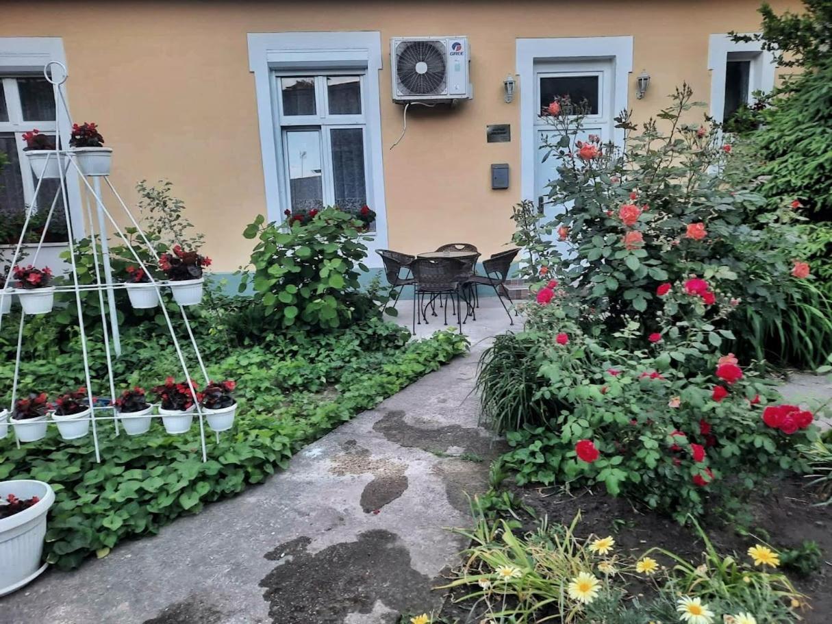 Apartment Milijana Суботица Екстериор снимка